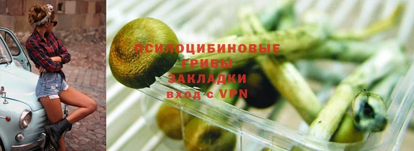 Альфа ПВП Аркадак