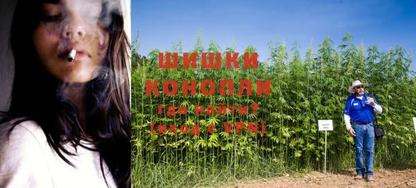 Альфа ПВП Аркадак
