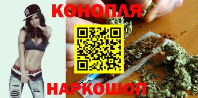 сатива Малгобек